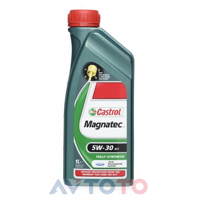 Моторное масло Castrol 4651400060