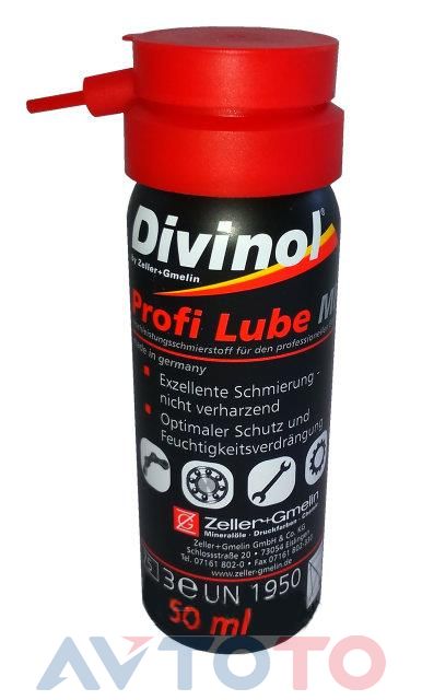 Смазка Divinol 22540LKL0