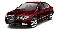 Автозапчасти Skoda 2 пок   (08-13)