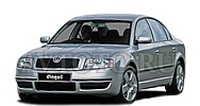 Автозапчасти Skoda 1 пок   (04-08)